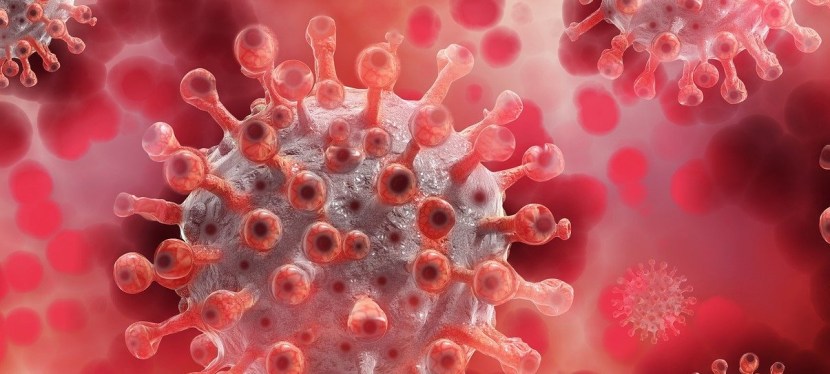 Luis Arroyo Zapatero :   Société, politique et pandémie…